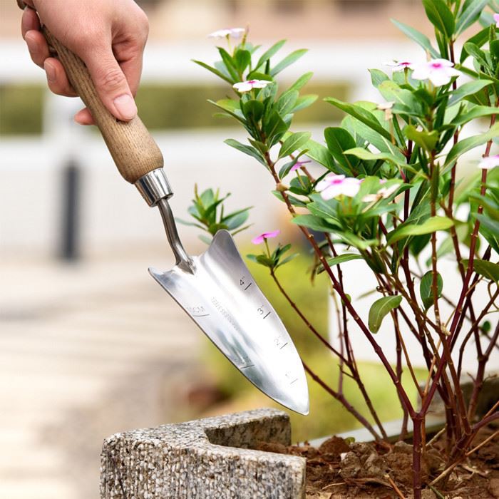 stainless steel transplanter using in flower pot