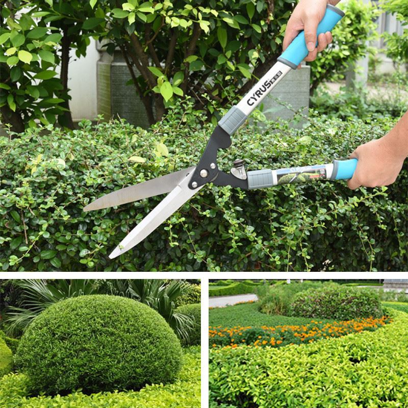 scenrio application hedge shear