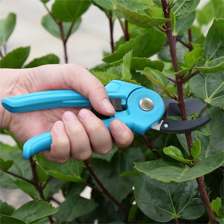Stainless garden bypass pruners shears operation