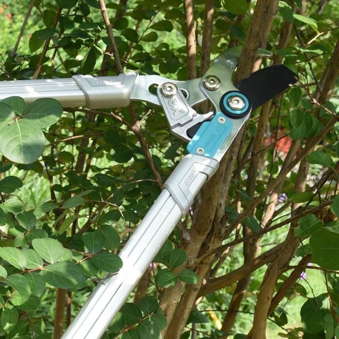 Heavy Duty Branch Cutters