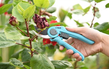 Els avantatges de la potència i l'eina de tall manual