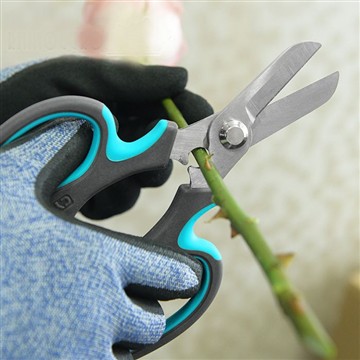 Inici del Jardí de Flors