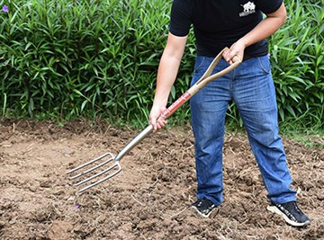 Brief Introducció De Rus Jardí Cultura