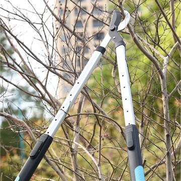 Poda i retallada: Tenint cura del meu jardí familiar