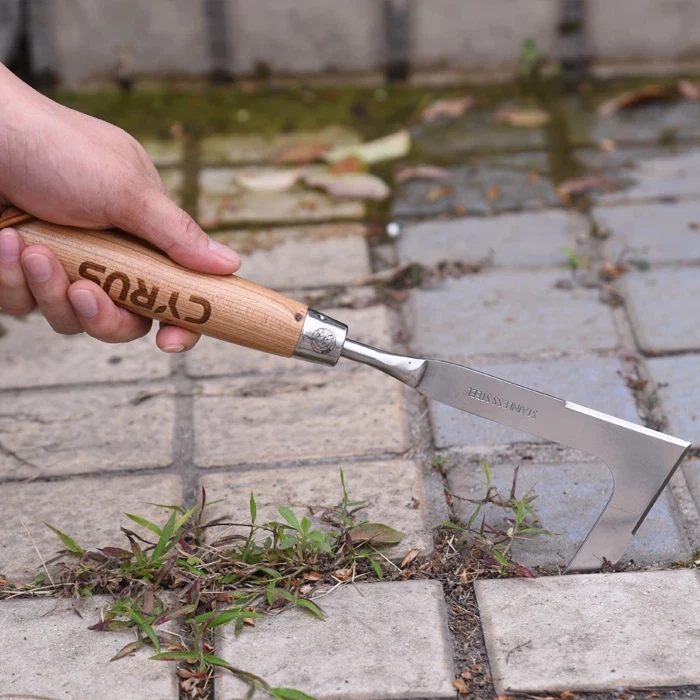 Jardí Desherbament Fet Fàcil amb A Inoxidable Mà Males Herbes