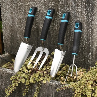 Millora el teu espai amb flors precioses