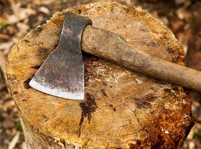 Eines per tallar arbres i material de seguretat