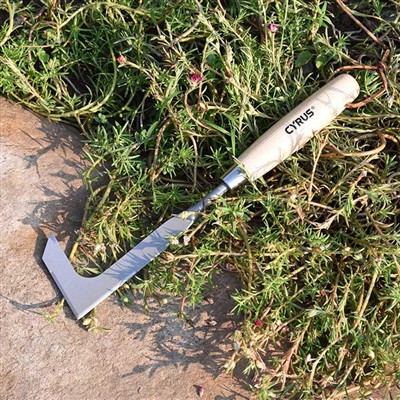 Com utilitzar correctament una eina de desherbat per esquerdes