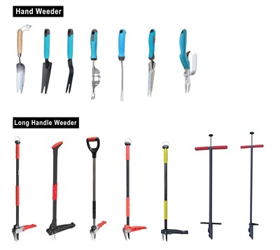 Cultivant verd: abraçant la sostenibilitat al vostre jardí