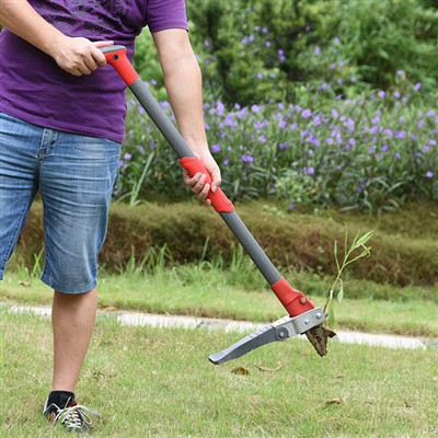 Com eliminar les males herbes sense doblegar-se?