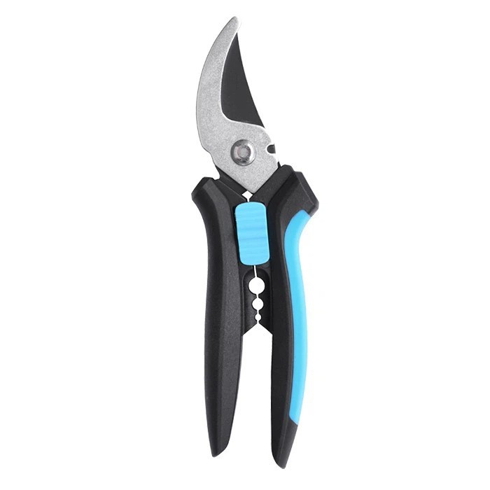 Pruners professionals de Rose